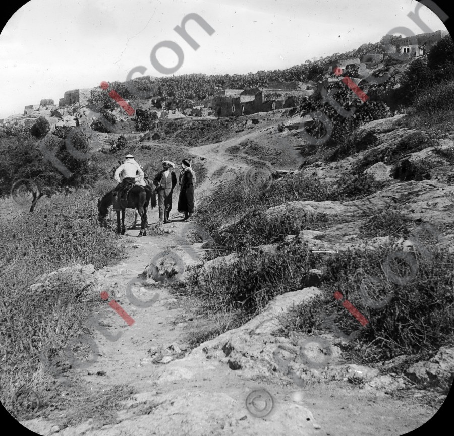 Hirten in Palästina | Shepherds in Palestine (foticon-simon-heiligesland-54-064-sw.jpg)